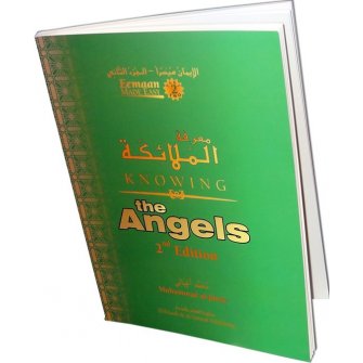 Knowing the Angels (Book 2)