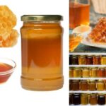 Amazon Honey - Raw Natural Organic Pure Original Unprocessed Unfiltered Unpasteurized Honey