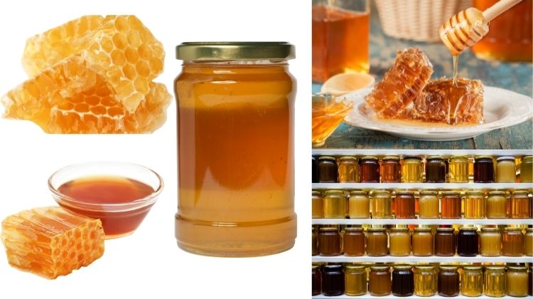 Amazon Honey – Raw Natural Organic Pure Original Unprocessed Unfiltered Unpasteurized Honey